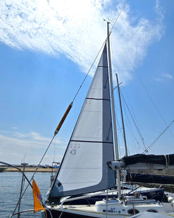 Delighted that the customer shared his onboard photos of the Harbor 25 Adventure Cross Cut Self Tacking Jib made by Robship. 😍😊