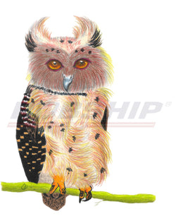 The Pretty Owl by: Eric F. Muaña