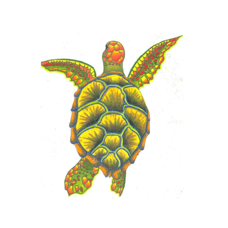 Eric`s version of Sea Turtle